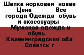 Шапка норковая, новая › Цена ­ 5 000 - Все города Одежда, обувь и аксессуары » Мужская одежда и обувь   . Калининградская обл.,Советск г.